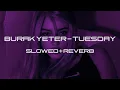 Download Lagu Burak Yeter – Tuesday feat. Danelle Sandoval (Speed Up + Reverb) | 1 hour