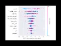SHAP Analysis Understanding the Black Box