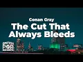 Download Lagu Conan Gray - The Cut That Always Bleeds (Lyrics)