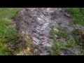 Taylor Rental Naples Trashes Yard