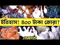 Download Lagu ইতিহাস! মাত্র-৪০০ টাকা জোরা || ডিম বাচ্চা সহ ৩৬০ পিস কবুতর কিনুন || বর্তমান কবুতরের বাজার দাম জানুন
