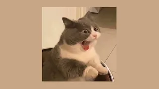 Can T Remember To Forget You Speed Up 