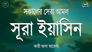 সকালে আমলের জন্য শ্রেষ্ঠ তেলাওয়াত সুরা ইয়াসিন | Surah Yaseen | amol | سوره يس Record by Alaa Aqel