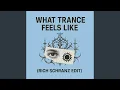 Download Lagu What Trance Feels Like (Rich (schranz edit)