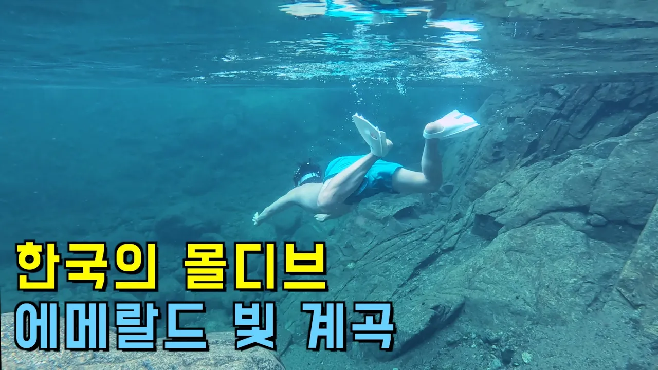 (수심 4m) 자연산 메기가 있는 청정 끝판왕 계곡에 가보다 썸네일