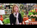 2018 Coolest Hardware Store - Ace Barnes in Ann Arbor Mich