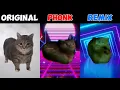 Download Lagu OIIAOIIA Cat Original vs Phonk vs Remix