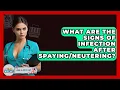 What Are The Signs Of Infection After - Ask A Pet Vet