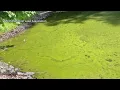 Upcoming changes to water testing at Smith Mountain Lake