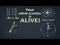 Your Linear Algebra is ALIVE Eigenvalues Quantum Mechanics the Hidden Physics in Your Homework