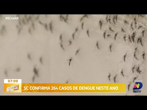 Santa Catarina registra 264 casos de dengue no primeiro relatório de 2024