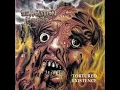 .44 Caliber Brain Surgery - Demolition Hammer
