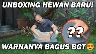 WARNANYA SE-PEDES HARGANYA 😂