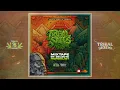 TRIBAL SEEDS MIXTAPE by Selecta Herbalist || #roots #party