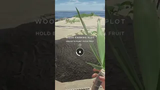 how to plant YUCCA trees in stranded deep