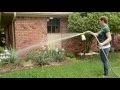 How to Treat Your Lawn For Fleas Ticks Mosquitoes Ants and Chiggers