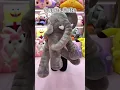 Download Lagu Need this right now! 🐘🎀 #patpat