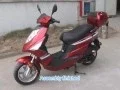Official TaoTao 150cc Scooter Assembly CY150 ALL 150cc TaoTao Scooters