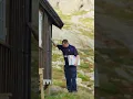 The sounds of shipping Volume up