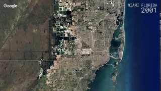 Google Timelapse Miami Florida