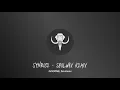 GOOSE - Synrise Remix Soulwax