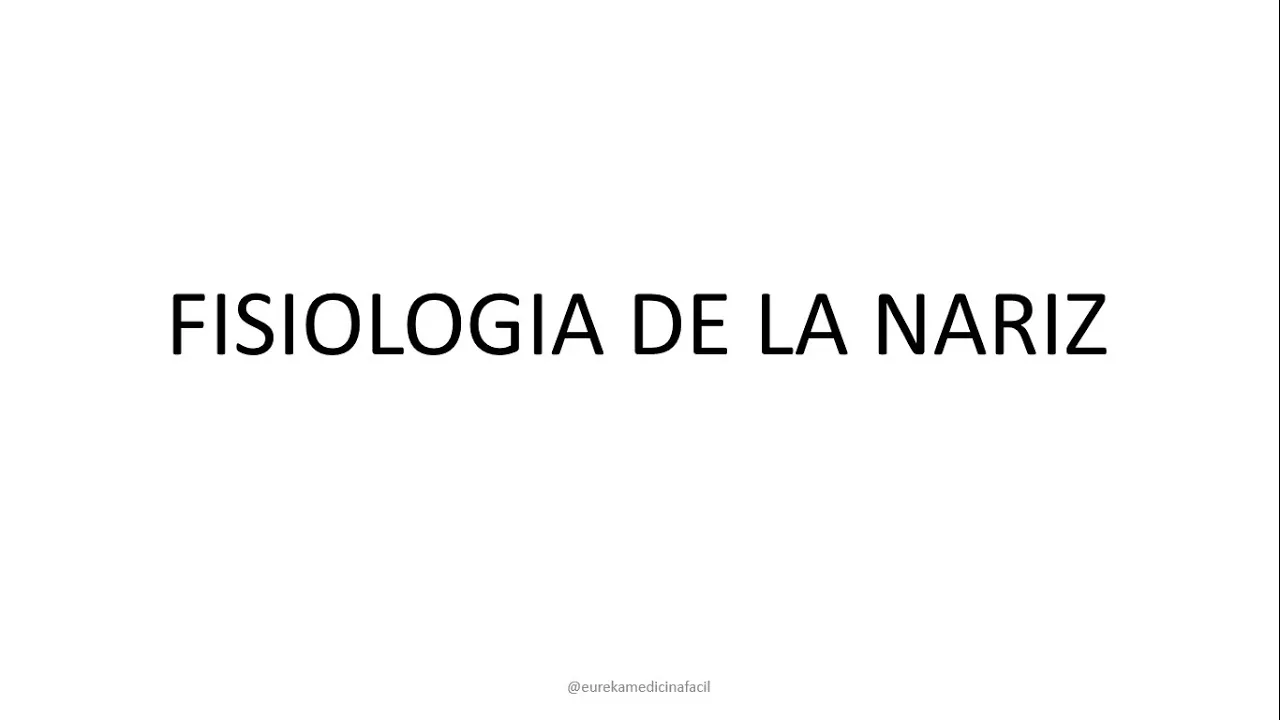 Fisiologia nasal - Fisiologia de la nariz