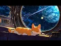 Download Lagu Sleeping Among Stars 🌌 Dreamy Lofi Songs With Sleeping Corgi To Calm Your Soul 🌌 Lofi Corgi Music