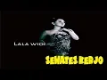 Lagu SEWATES KERJO - LALA WIDI NEW PALLAPA