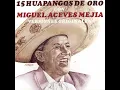 La Malagueña