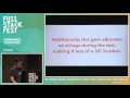 Full Stack Fest 2015 Rewriting a Ruby C Extension in Rust by Yehuda Katz