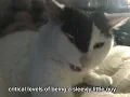the missile is very tired
