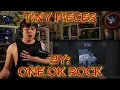 Download Lagu HEARTBREAKING AND BEAUTIFUL!!!!!!!!!!!! Blind reaction to One Ok Rock - Tiny Pieces