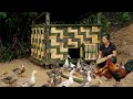 Download Lagu A female CEO conquers life off the grid, a journey from the city to the countryside