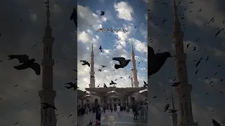 سلام سلام كمسك الختام 