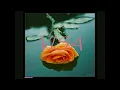 Dalam Gerimis - Kumpulan Visa