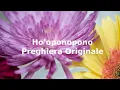 Download Lagu Ho'oponopono preghiera originale in Italiano