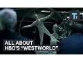 All About Westworld HBO s Mysterious New Sci-Fi Series