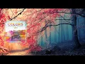 Unsenses - Colors (Sunrise Festival 2018 Anthem) (Extended Mix)