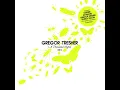 Black Rain (Gregor Tresher Remix)