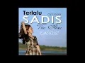 Download Lagu karaoke TERLALU SADIS - VITA ALVIA