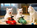 Download Lagu Mama Cat Trims Fur on the Farm and Makes Tiger Hat For Kittens At Home🙀🎩🐯