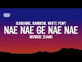 Download Lagu Nae Nae Ge Nae Nae\