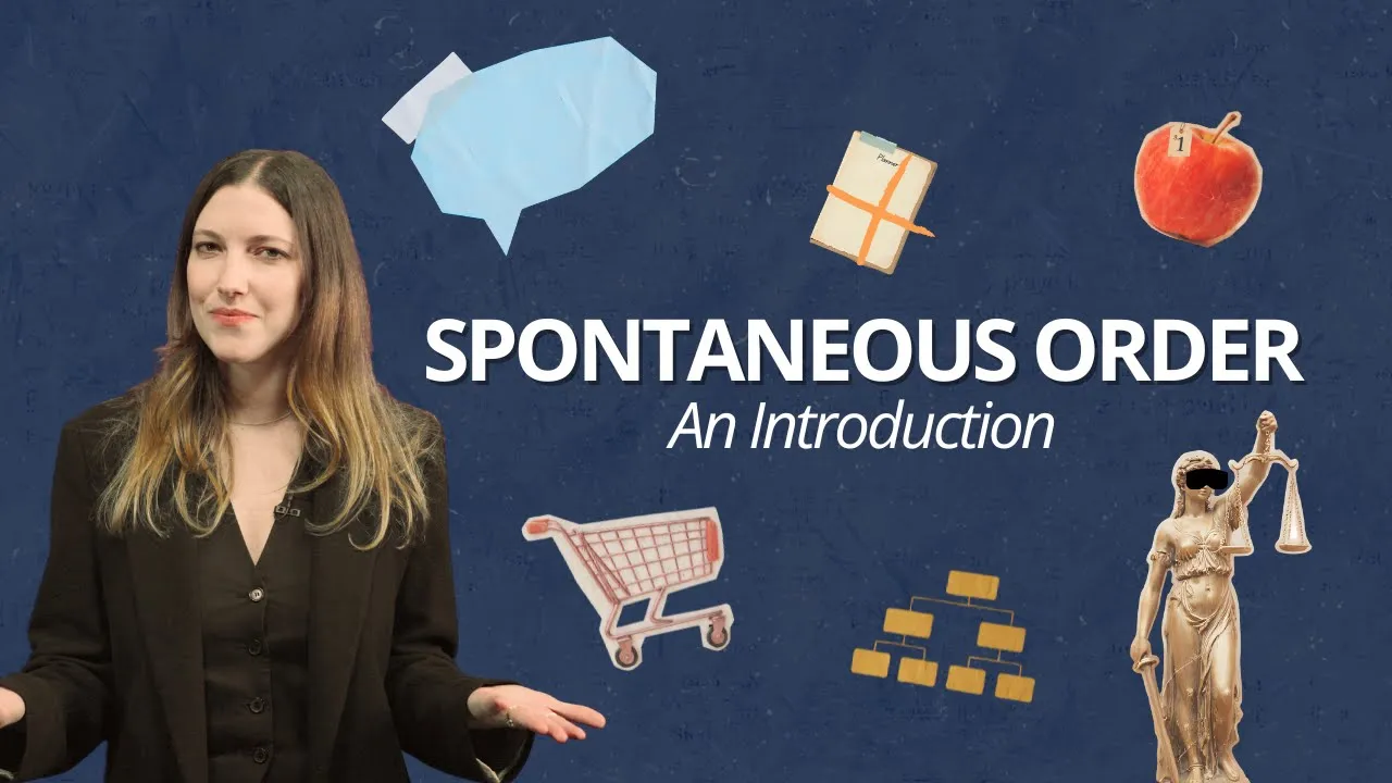 Spontaneous Order: An Introduction
