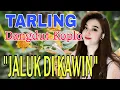 Download Lagu TARLING DANGDUT KOPLO || JALUK DI KAWIN