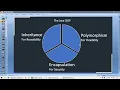 008 JavaOOP01 Demo