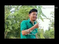Download Lagu Timi chhau ra po  New Nepali Song Official Lyrical Video-Maikal Limbu