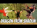 Download Lagu Wu Tang Collection - Dragon from Shaolin WIDESCREEN