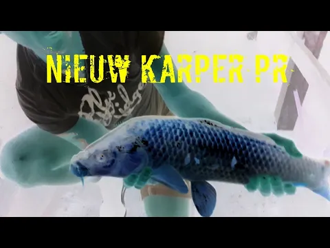 My stephson catches biggest carp