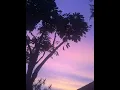 Download Lagu clean bandit - rockabye (slowed \u0026 bass)