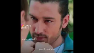 بتبقى اغلا الحبايب نوال الزغبي حالات واتس اب حب وغرام مقاطع رومنسيه قصيرة 